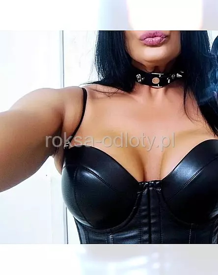 Domina warszawa 8-11 lutu